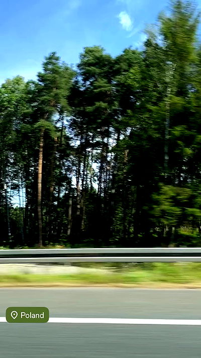 noa_zemlyanski noa_zemlyanski archive video