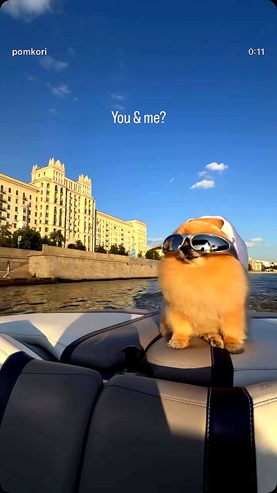 ninja.vi ninja.vi archive video