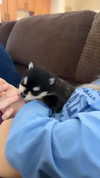 jailyneojeda Altpins Profile Picture