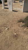 _idi0tk4_ Altpins Profile Picture