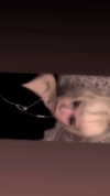 da1withfata33 Altpins Profile Picture