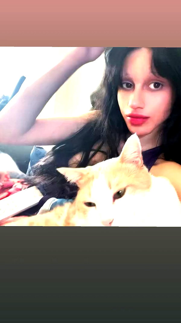 _koolkat__ archive video preview