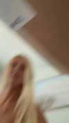 alliebear Altpins Profile Picture