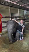 eli_natan_ Altpins Profile Picture