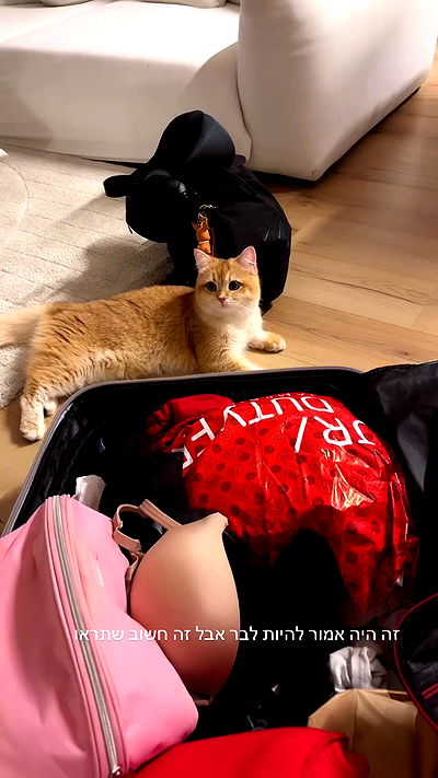 itsilanosh itsilanosh archive video