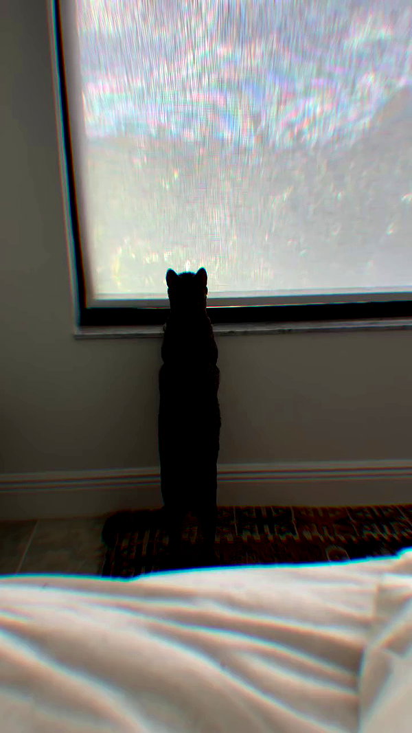 edin.karyn archive video preview