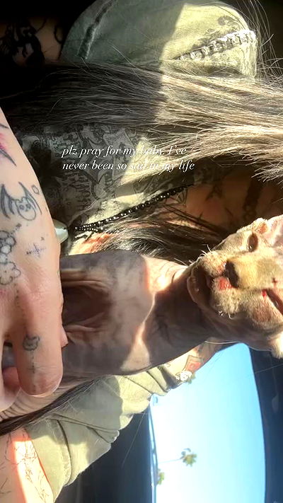 zommmbri zommmbri archive video