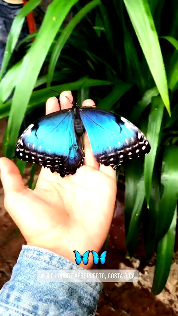 noa_mendel_ archive video preview