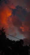 hadas_mayer_ Altpins Profile Picture