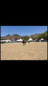 kendalljenner Altpins Profile Picture
