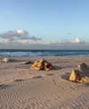 6a1it Altpins Profile Picture