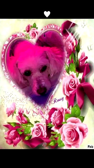 feelbetterinmysweater feelbetterinmysweater archive video