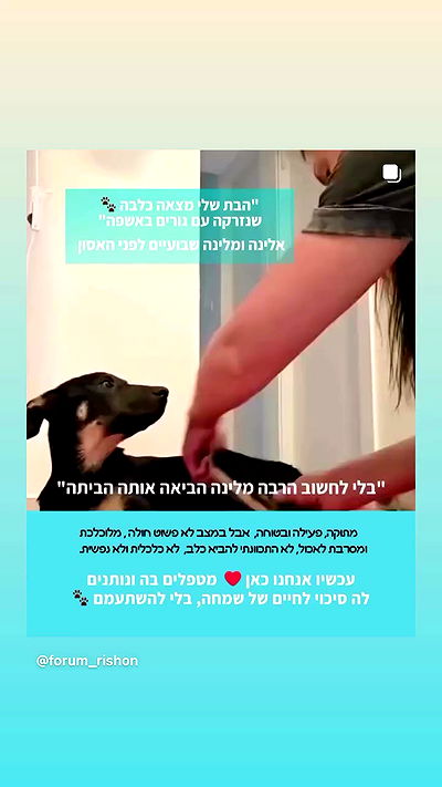 feelbetterinmysweater feelbetterinmysweater archive video