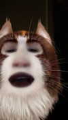 kalogeraseliana Altpins Profile Picture