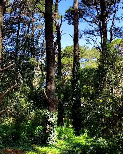 shunli__mei shunli__mei archive video