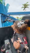 ema.jeann Altpins Profile Picture