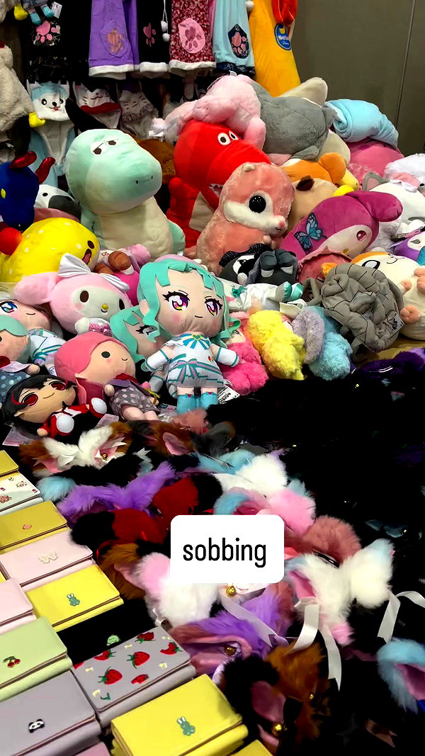 pockycatt archive video preview