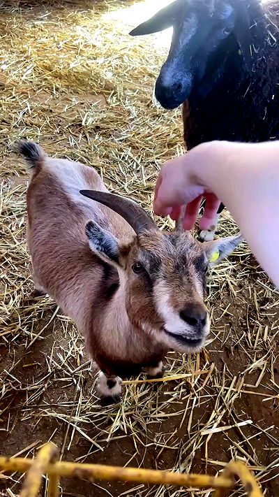 feelbetterinmysweater feelbetterinmysweater archive video