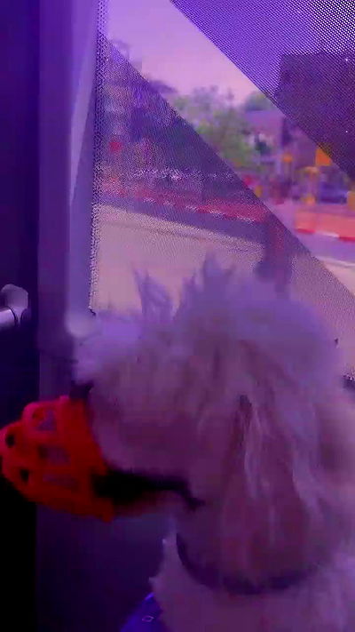 feelbetterinmysweater feelbetterinmysweater archive video