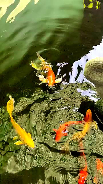 oqr0_ oqr0_ archive video