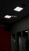 lisssa_sha Altpins Profile Picture
