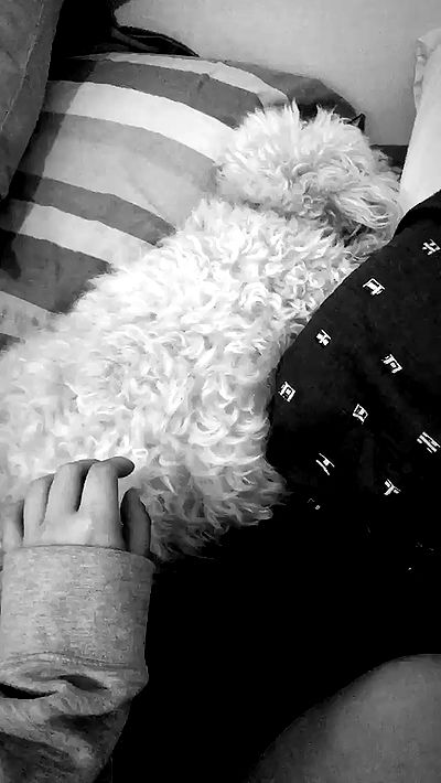 feelbetterinmysweater feelbetterinmysweater archive video