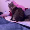 heathergrace67 Altpins Profile Picture