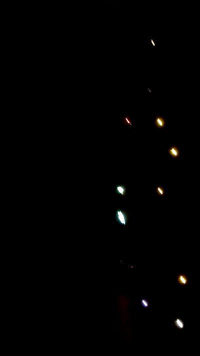 simp_for_cats_ simp_for_cats_ archive video