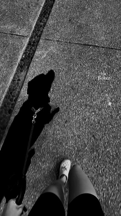 talweisswasser talweisswasser archive video