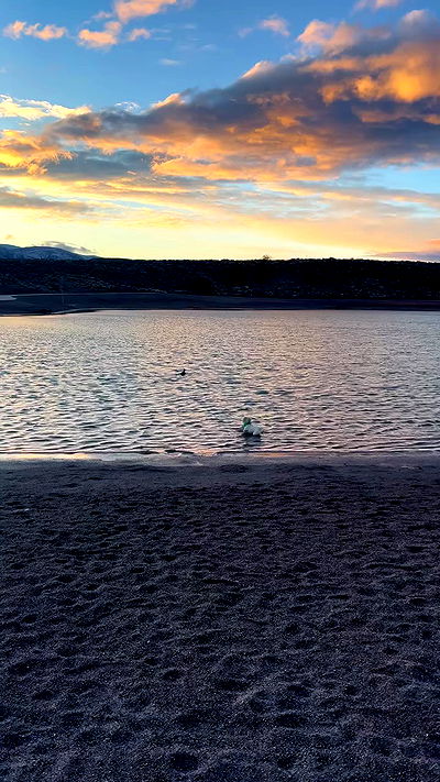 7lems7 7lems7 archive video