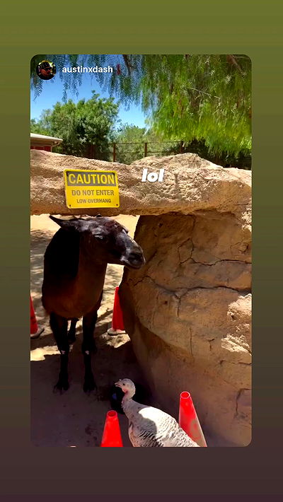 sophiemudd sophiemudd archive video