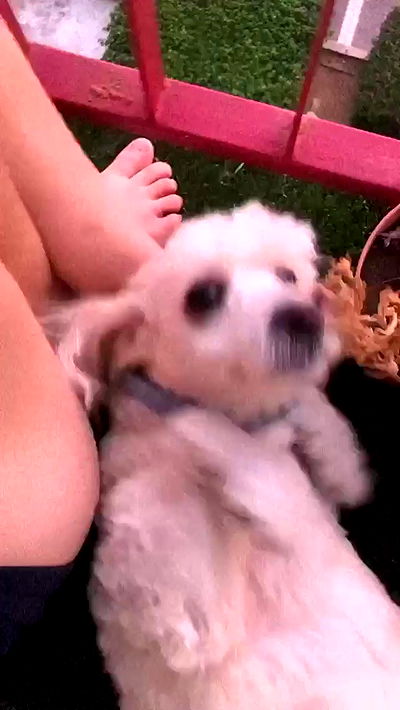 feelbetterinmysweater feelbetterinmysweater archive video