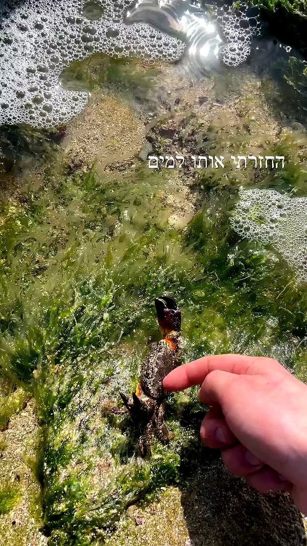 feelbetterinmysweater archive video preview
