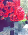 kyliejenner Altpins Profile Picture