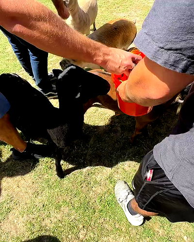 itsmaddy itsmaddy archive video