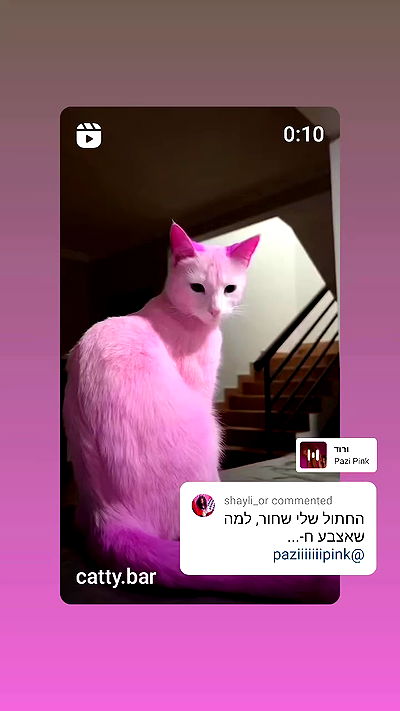 shayli_or shayli_or archive video