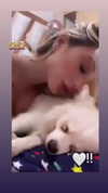 sbt__00 Altpins Profile Picture