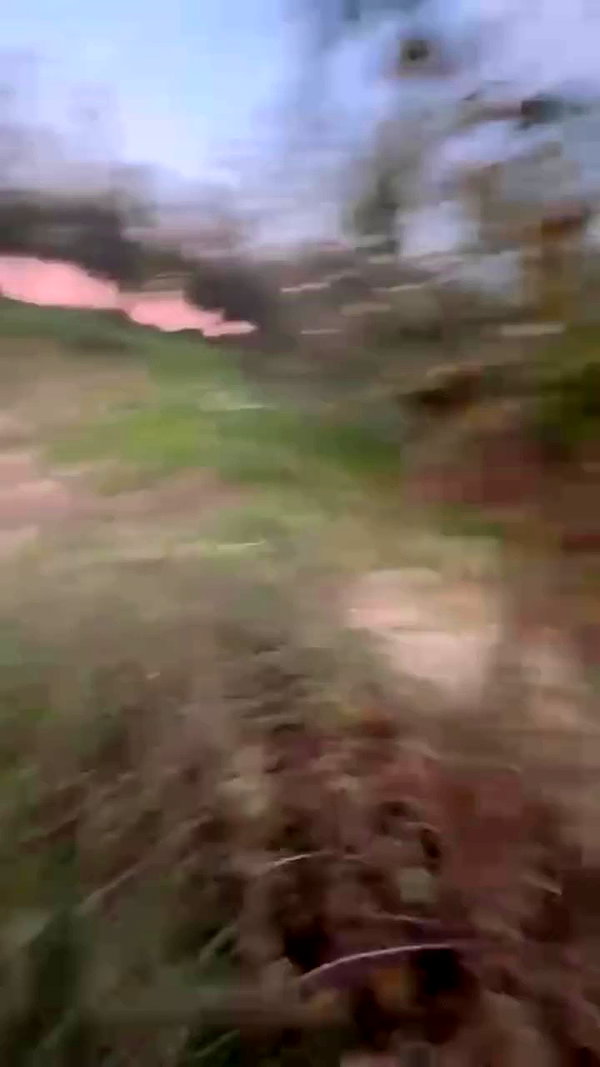 _cla._8 archive video preview