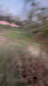 _cla._8 Altpins Profile Picture