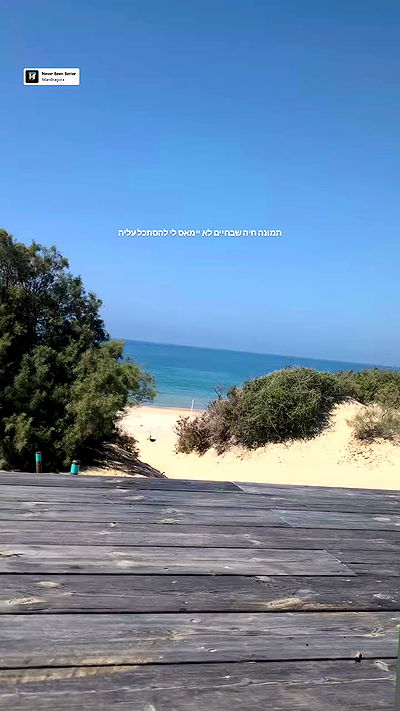 tinapavlov.sky tinapavlov.sky archive video