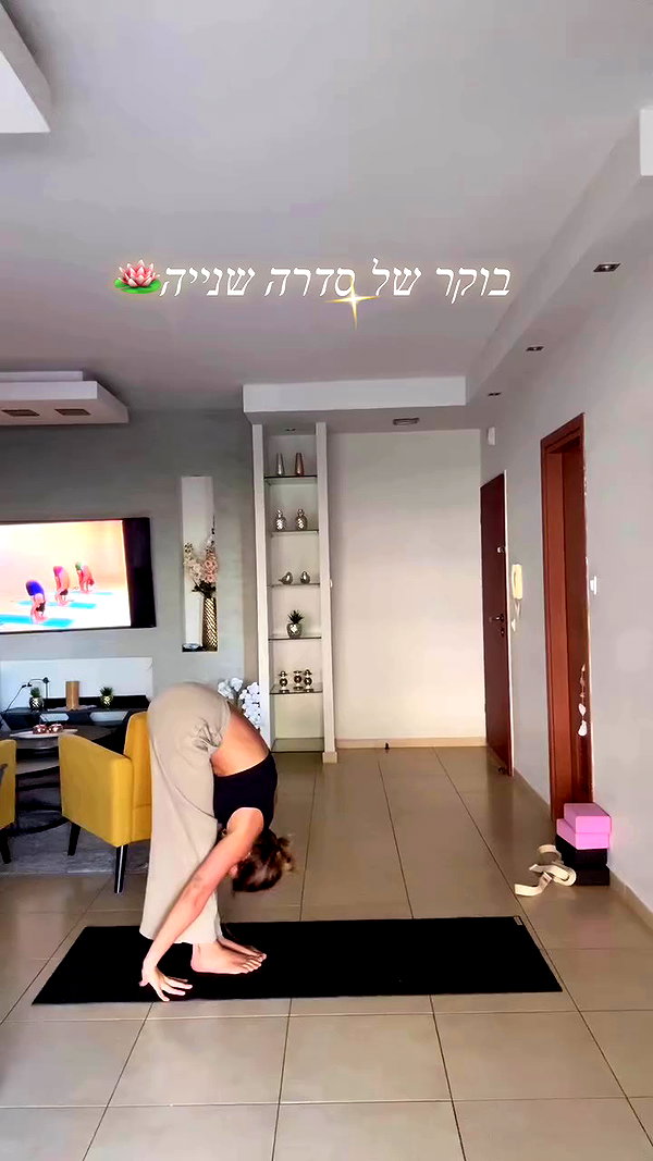 liad.arazi archive video preview