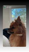 tarayummyy Altpins Profile Picture