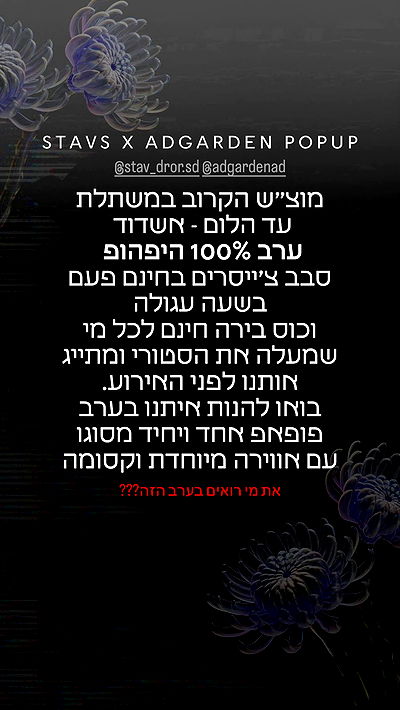 _lil_noa_ _lil_noa_ archive video