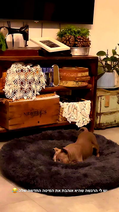 kesemgreenyer kesemgreenyer archive video