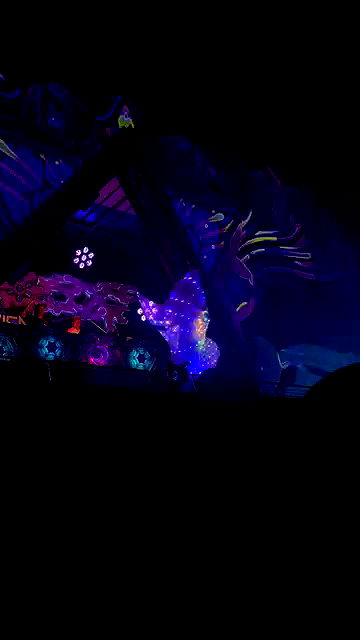 rivkavel rivkavel archive video