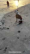 jenny.kaly Altpins Profile Picture