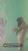 chantellemsia Altpins Profile Picture