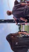 chantellemsia Altpins Profile Picture