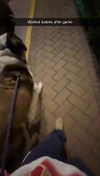 cclaire.bbear1 Altpins Profile Picture