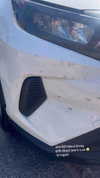 newpoort Altpins Profile Picture